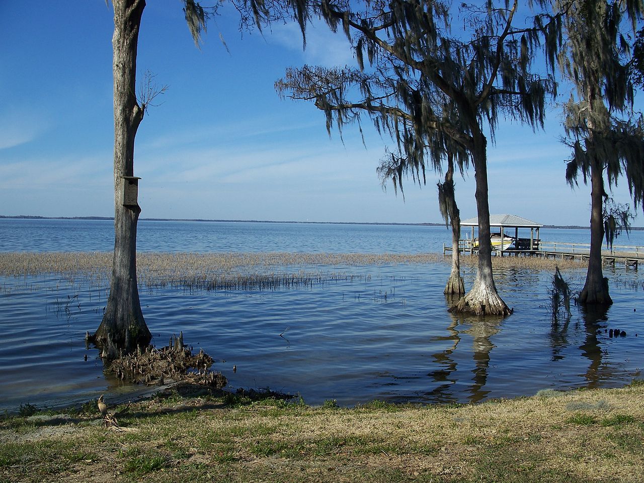 Haus and Hues in Yalaha, Florida