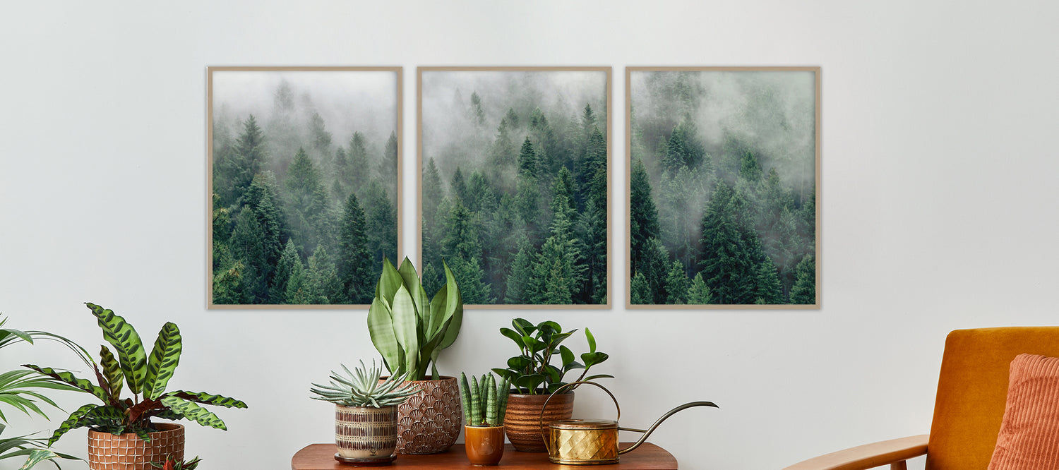 Set of 3