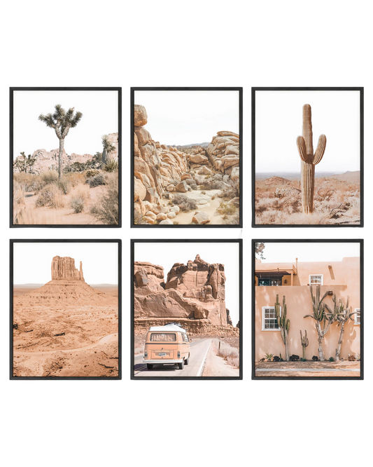 Southwestern desert