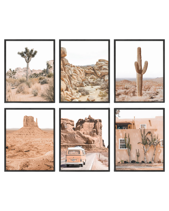 Southwestern desert