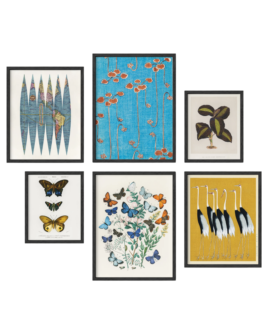 Eclectic gallery wall