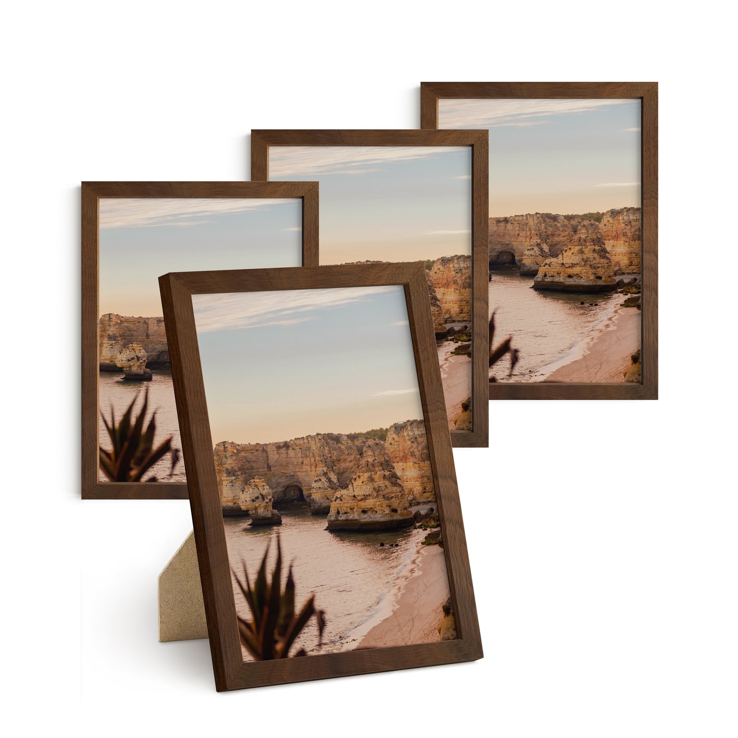 Haus and Hues Set of 4 Oak Wood Single Picture Frame with Plexiglass Cover