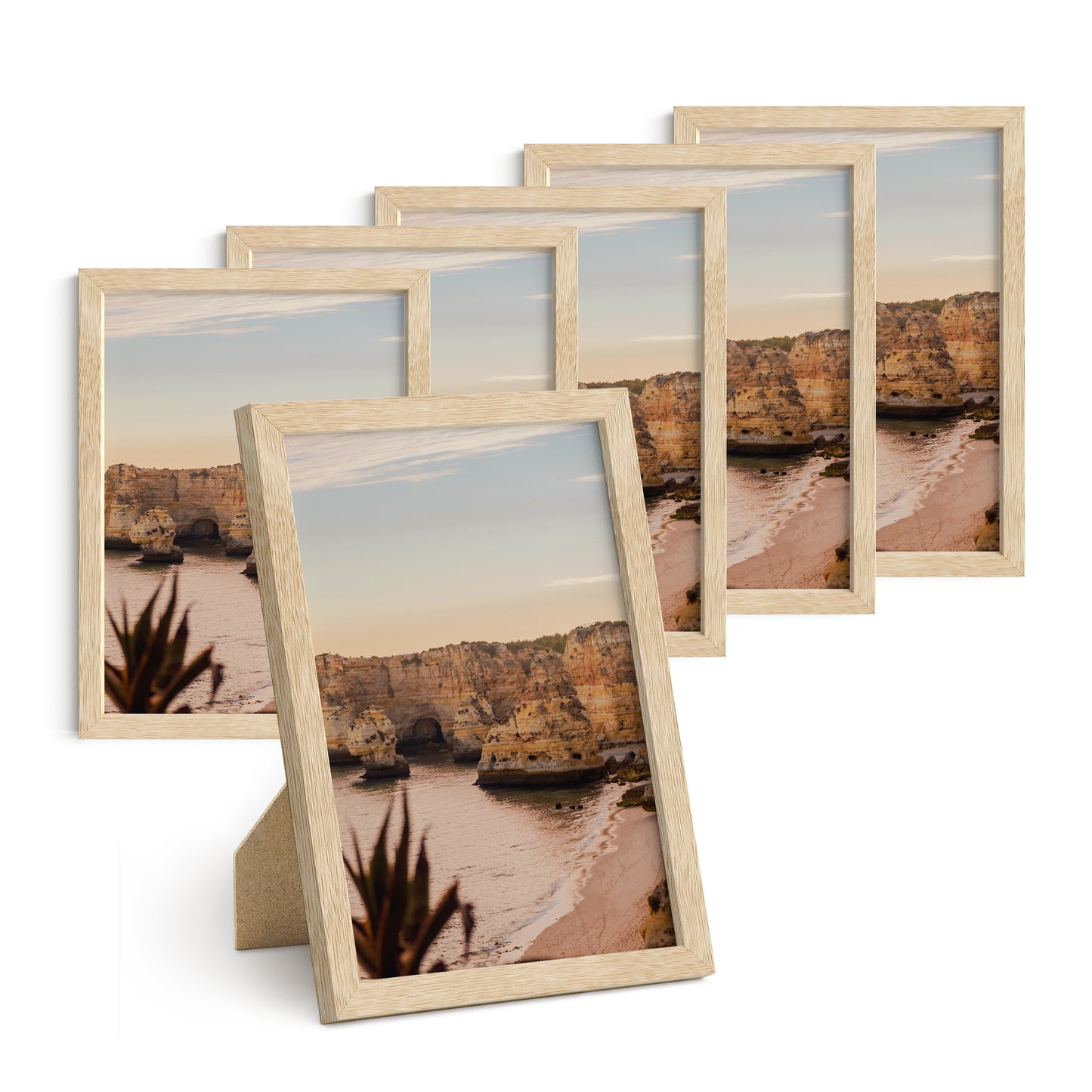Haus and Hues Set of 6 Oak Wood Single Picture Frame with Plexiglass Cover