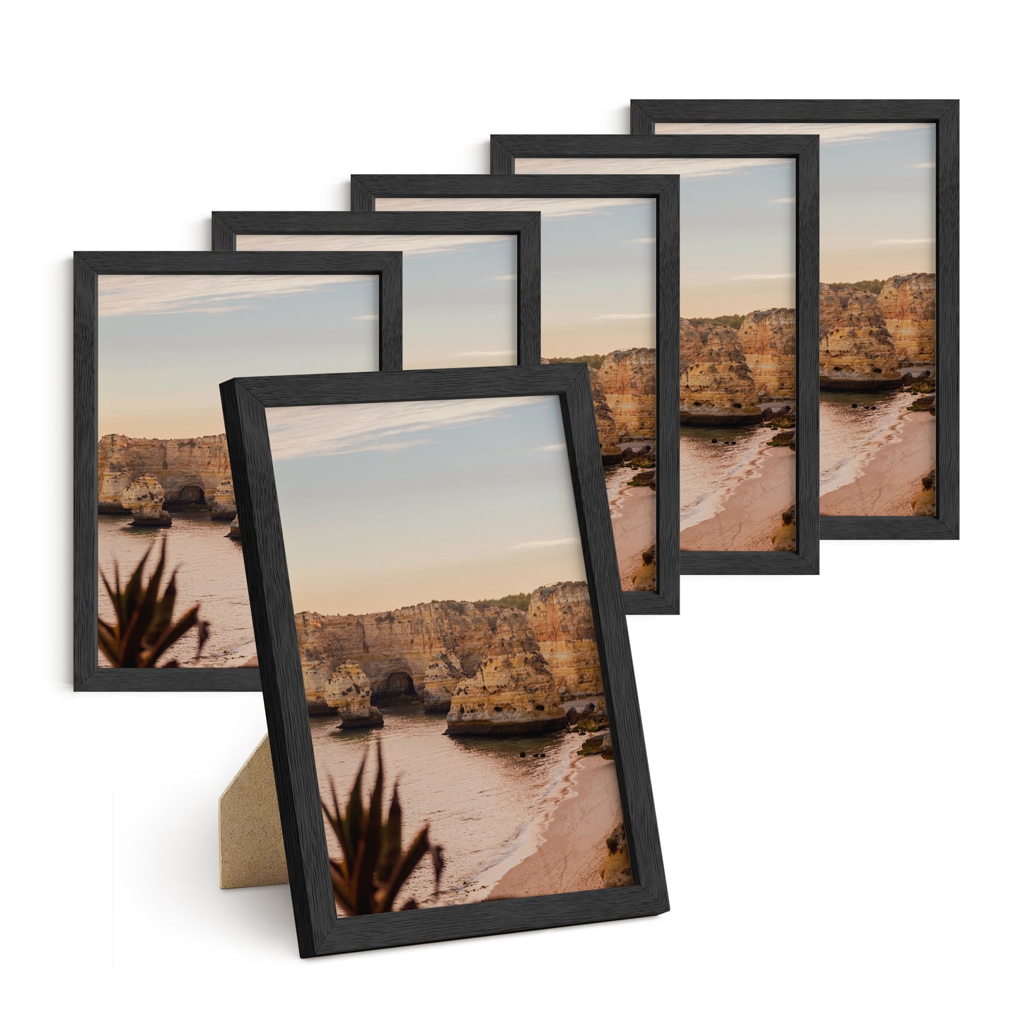 Haus and Hues Set of 6 Oak Wood Single Picture Frame with Plexiglass Cover