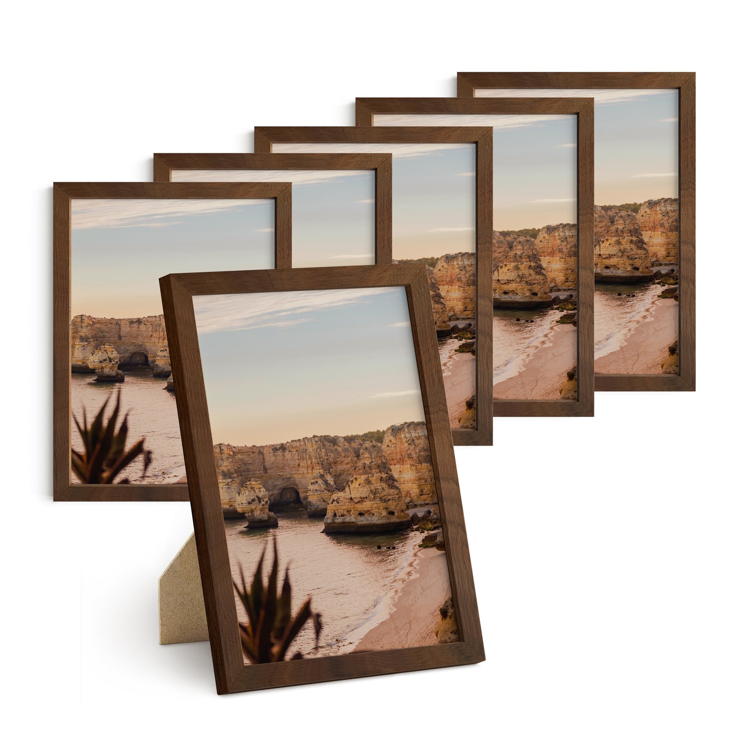Haus and Hues Set of 6 Oak Wood Single Picture Frame with Plexiglass Cover