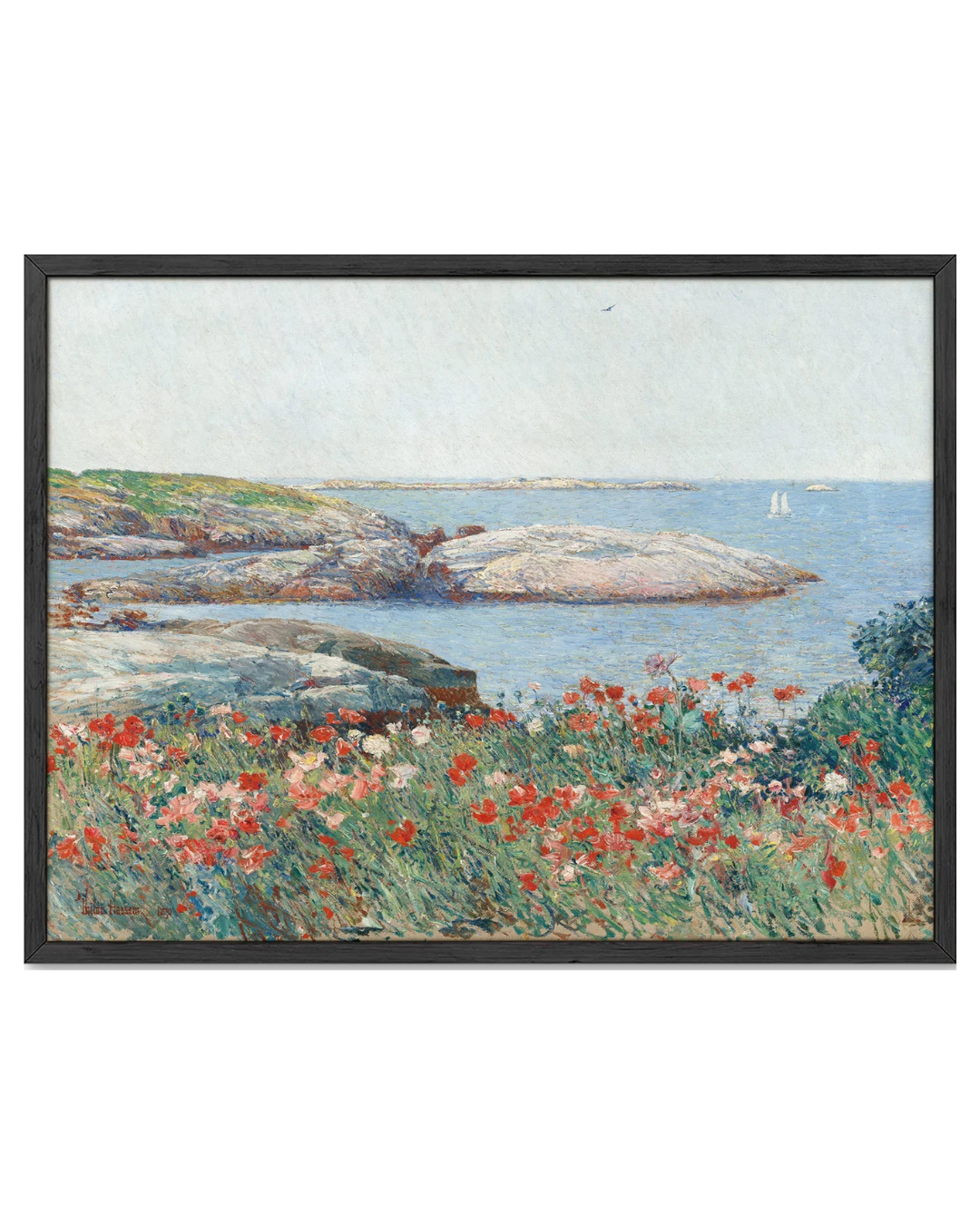 Poppies Art Print