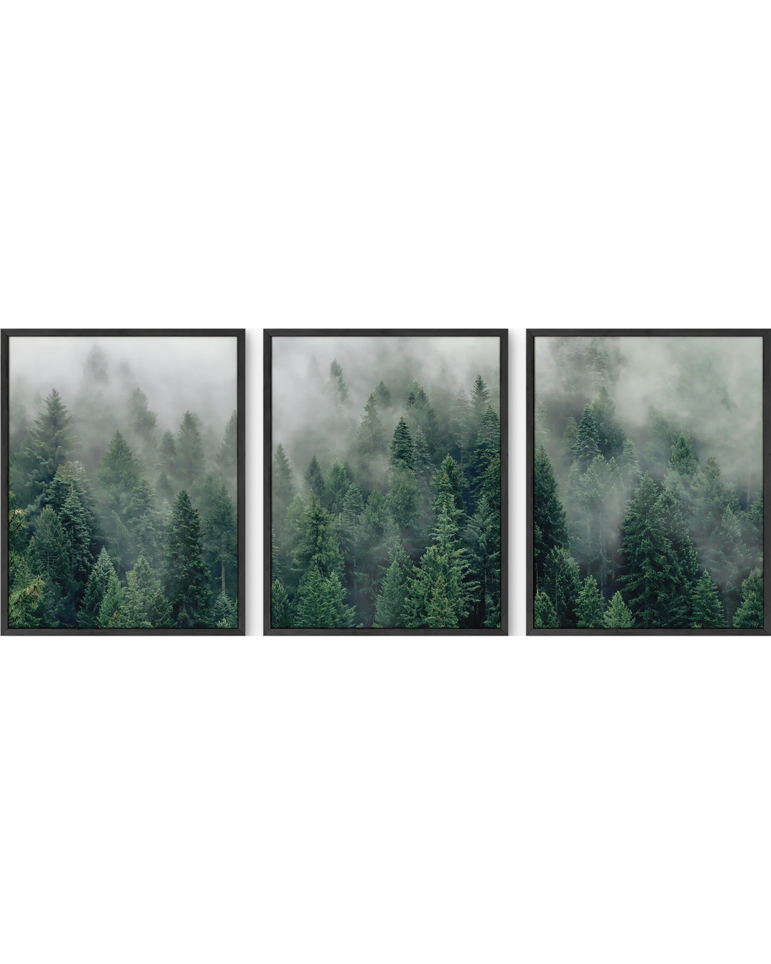 Forest fog