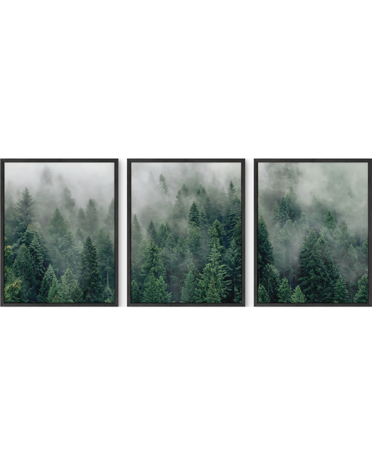 Forest fog