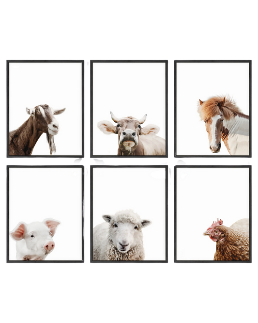 Farm animal portrait