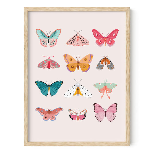 Butterfly indis parent