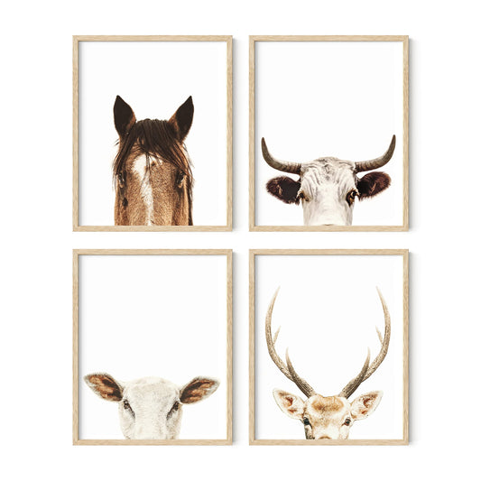 HAUS AND HUES Set of 4 Rustic Farm Animal Pictures - Horse Deer Cow and Goat Pictures Wall Decor | Farmhouse Pictures for the Home Modern Farmhouse Wall Decor for the Kitchen | 8" x 10" UNFRAMED