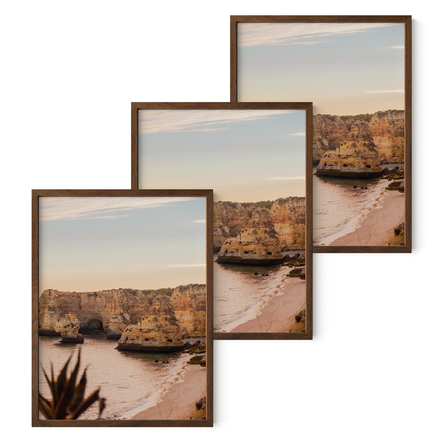 Haus and Hues Set of 3 Oak Wood Single Picture Frame with Plexiglass Cover