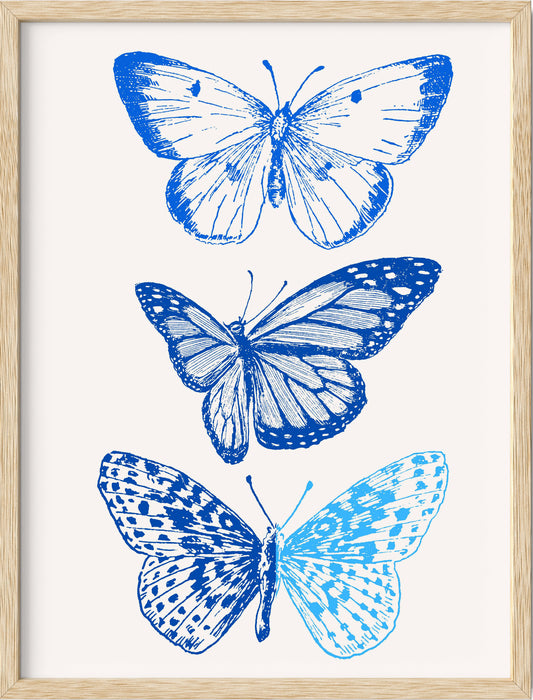 Blue Butterflies