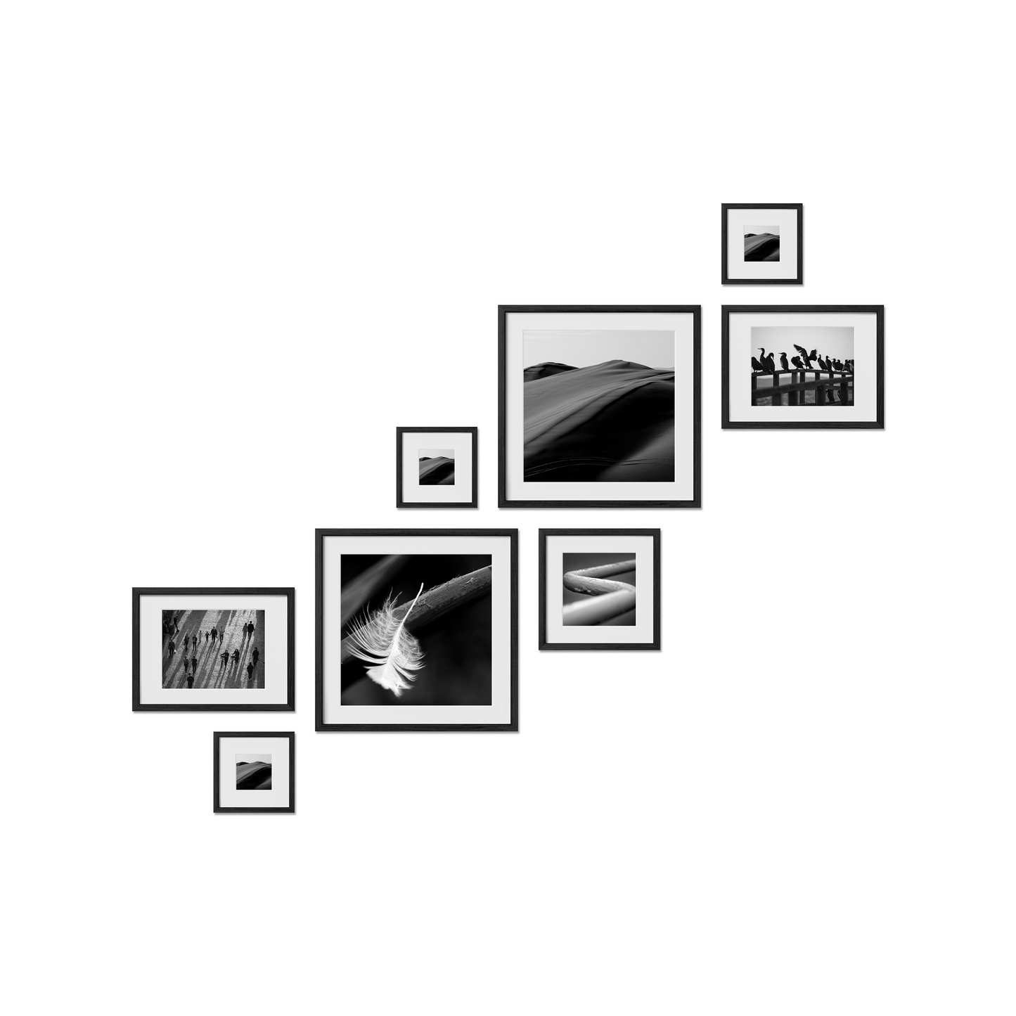 Carleton Gallery Frames