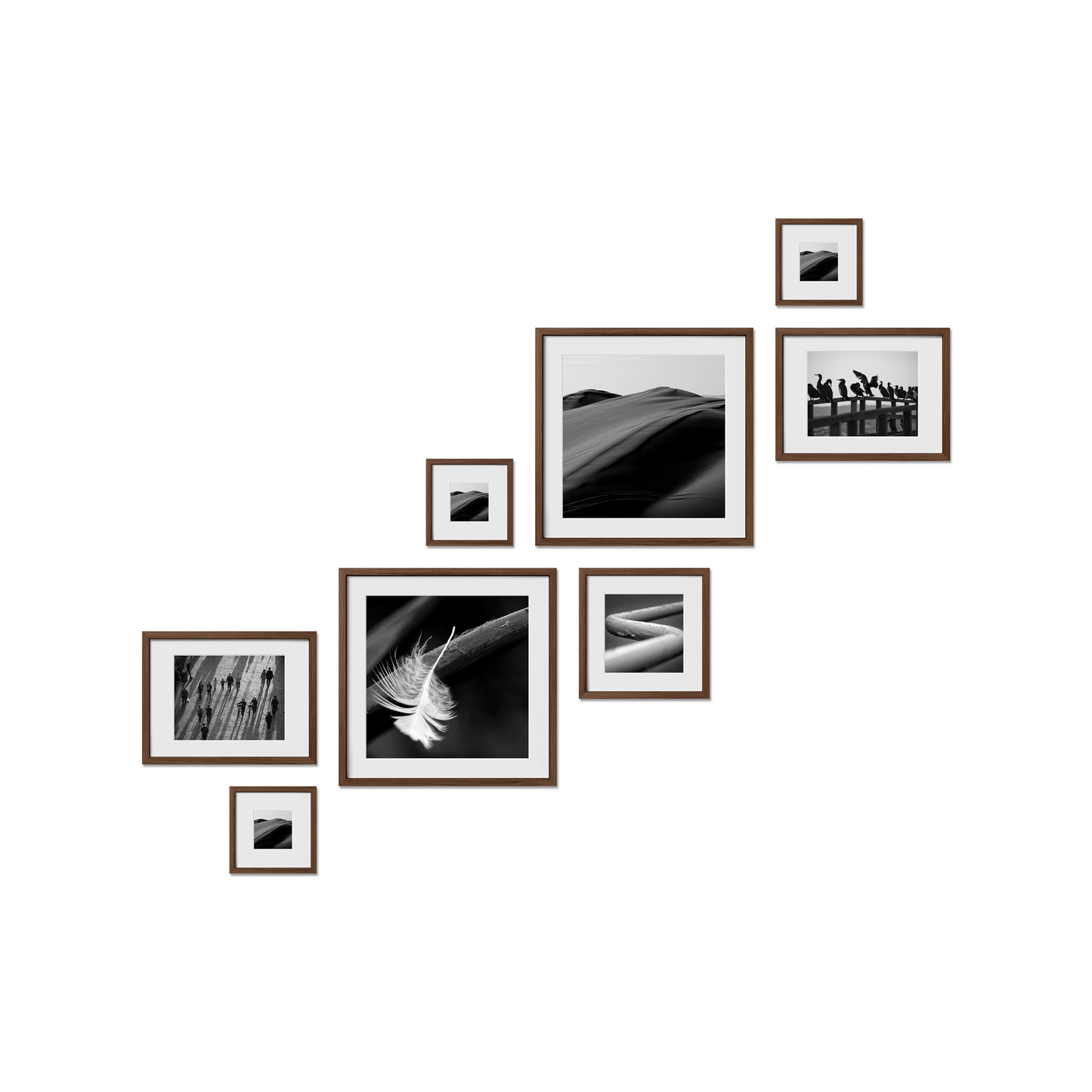 Carleton Gallery Frames