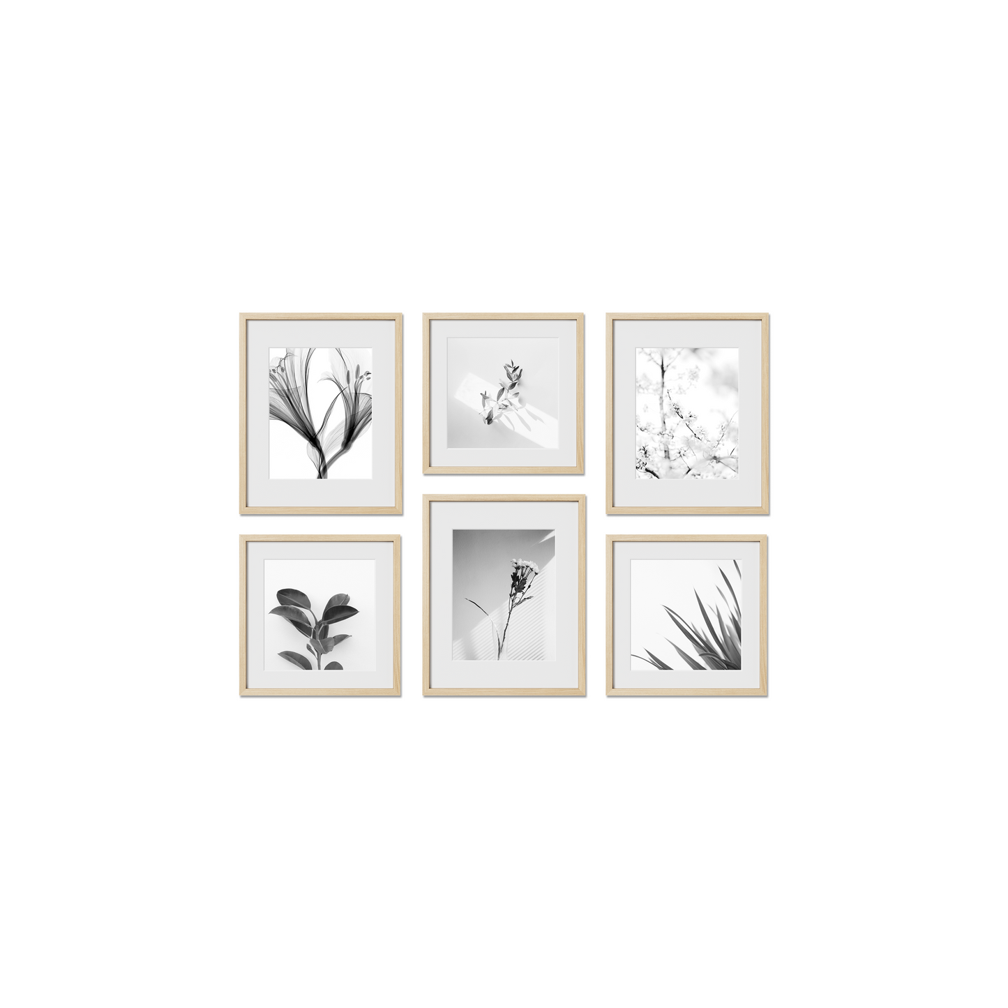 Chelsea Gallery Frames