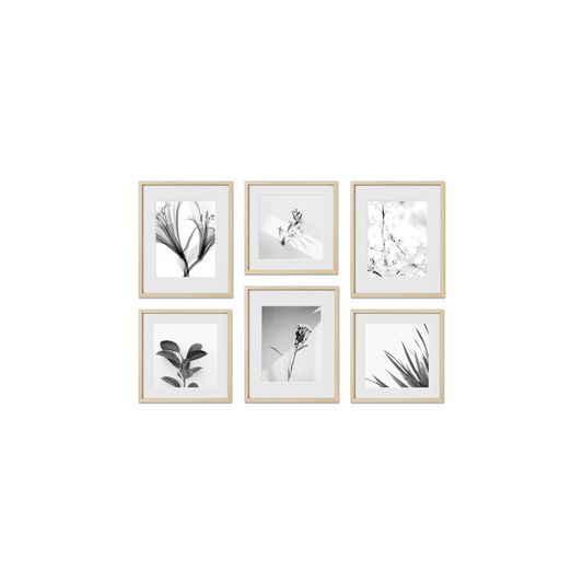 Chelsea Gallery Frames