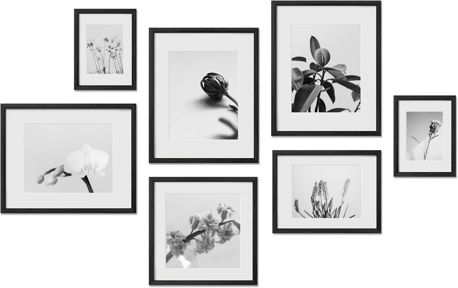 Greenwich frame bundle featuring 8x8, 11x17, 9x12, 5x7 frames, perfect for family photos, offering plexiglass protection.
