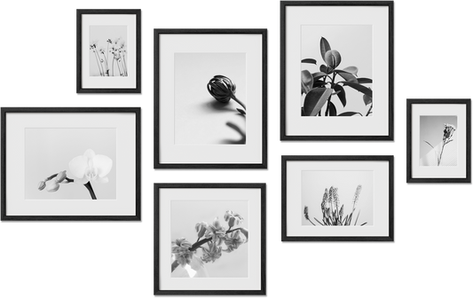 Greenwich frame bundle featuring 8x8, 11x17, 9x12, 5x7 frames, perfect for family photos, offering plexiglass protection.