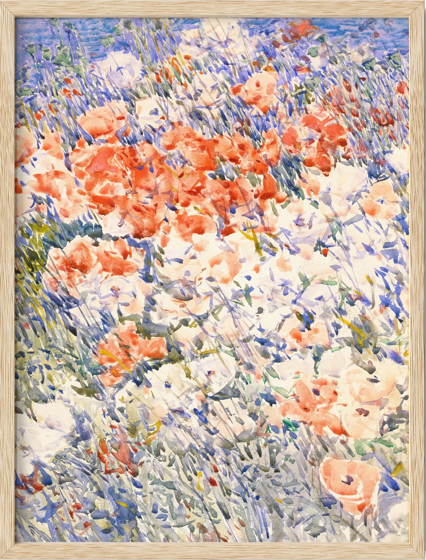 Multicolored Flowers