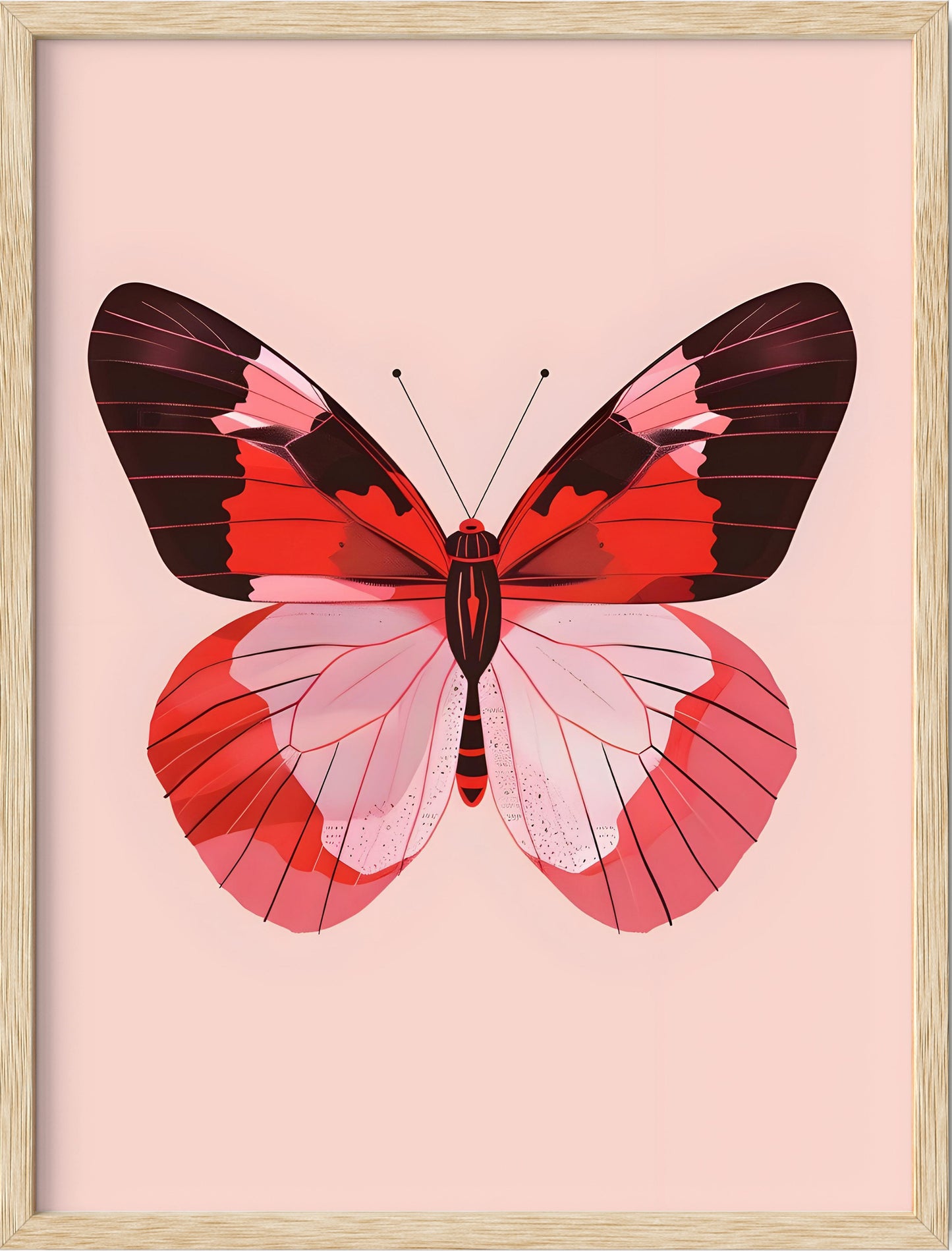 Red Butterfly Pink