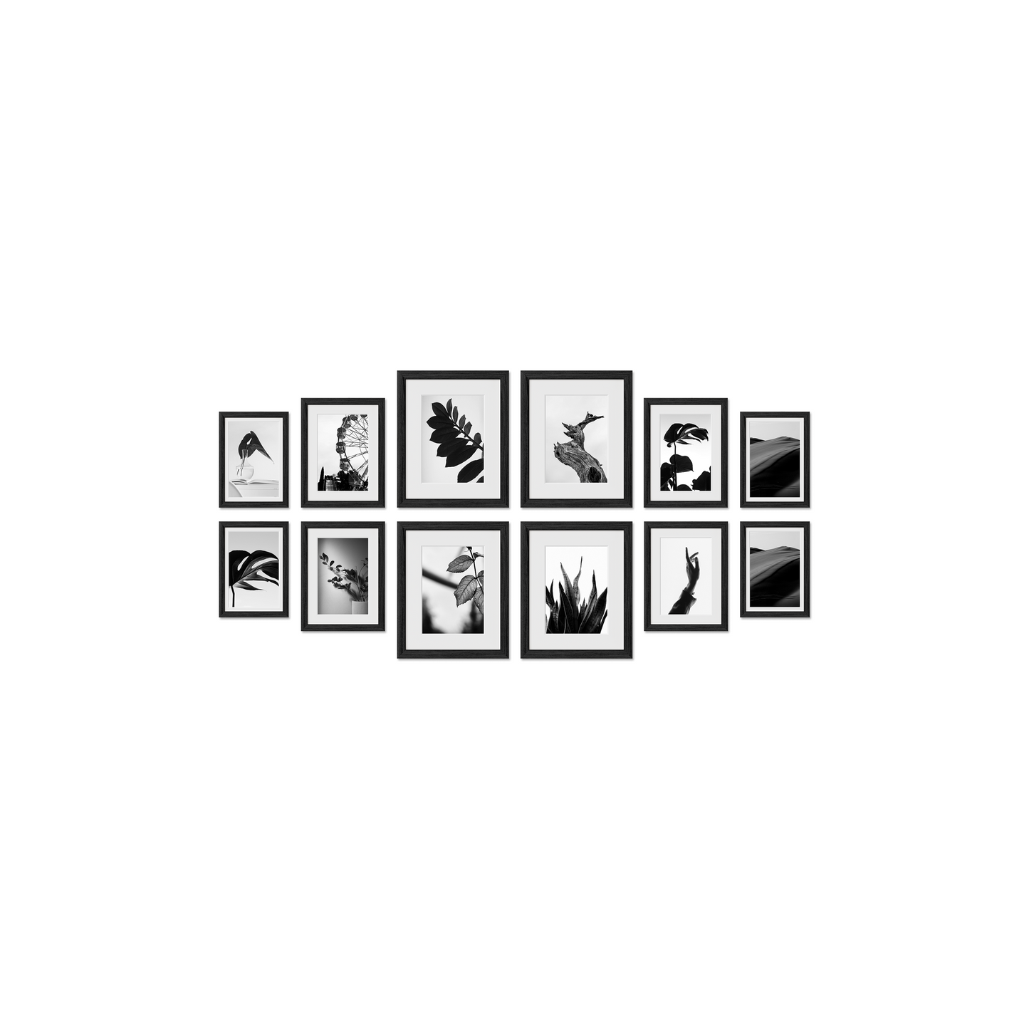 Richmond Gallery Frames