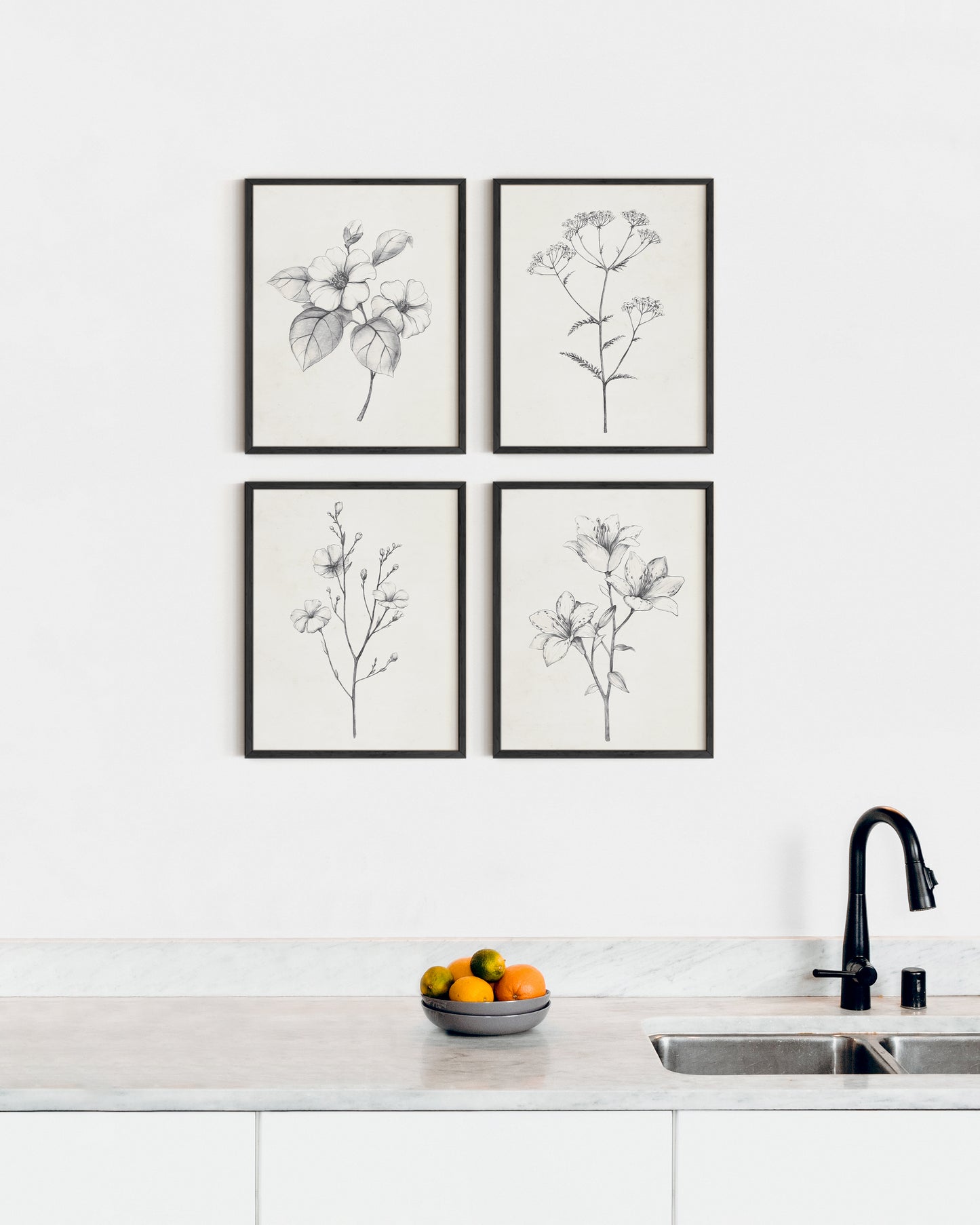 Antique floral drawings