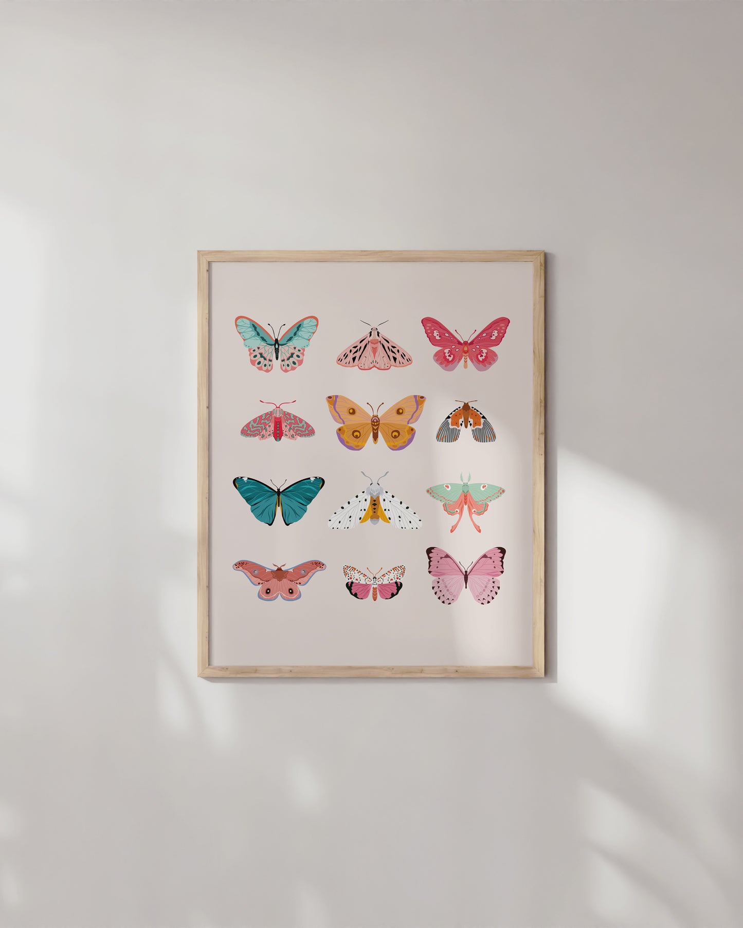 Butterfly collage