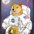 Doge Astronaut