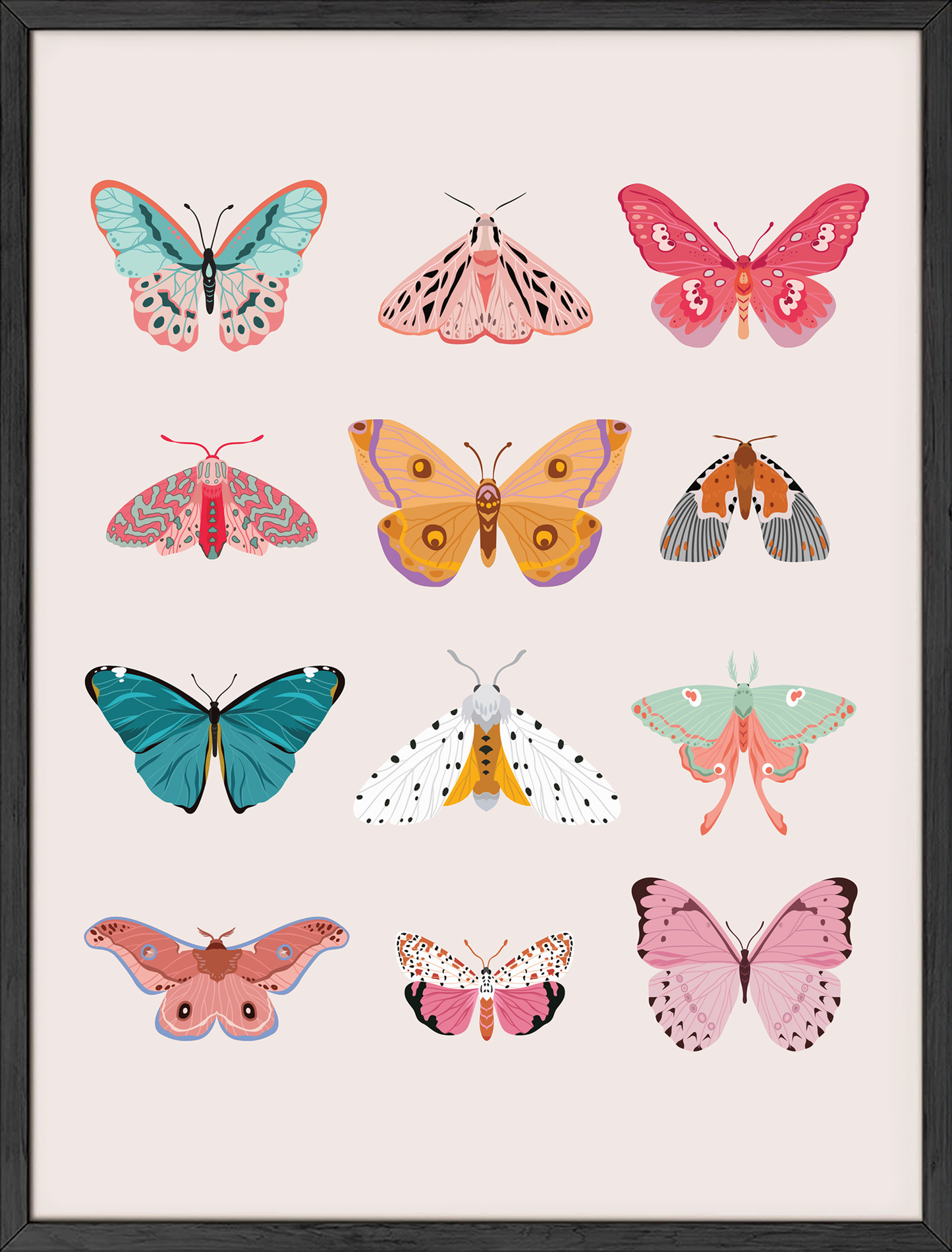 Butterfly collage