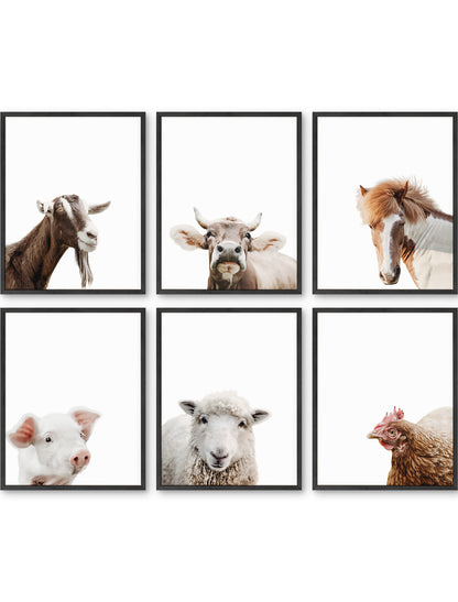 Farm Animal Portrait Set