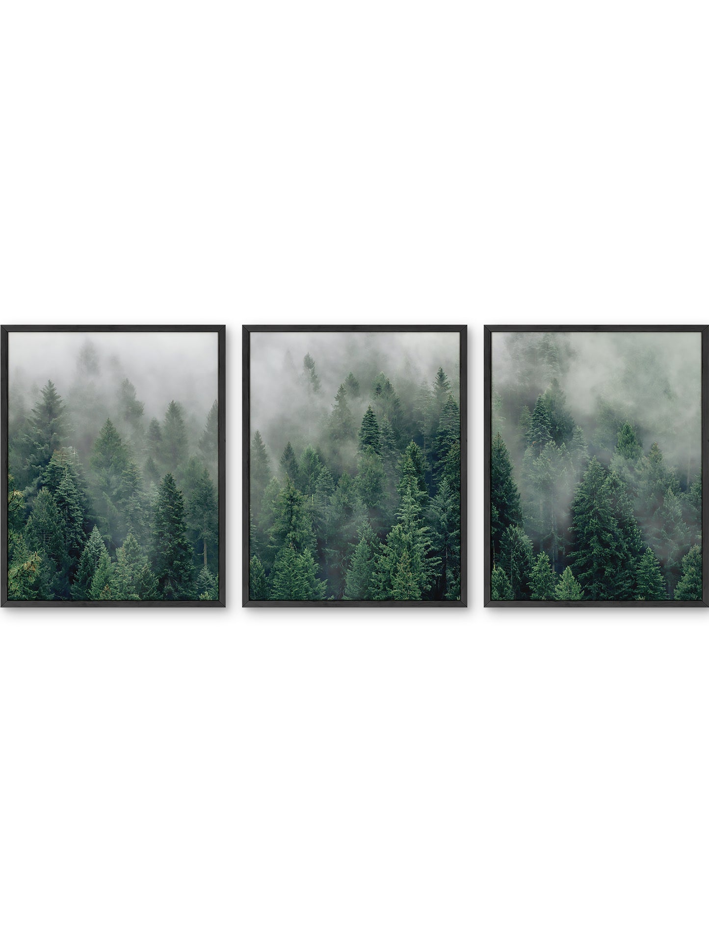 Forest Fog Set