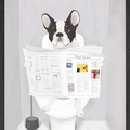 Bathroom Bulldog