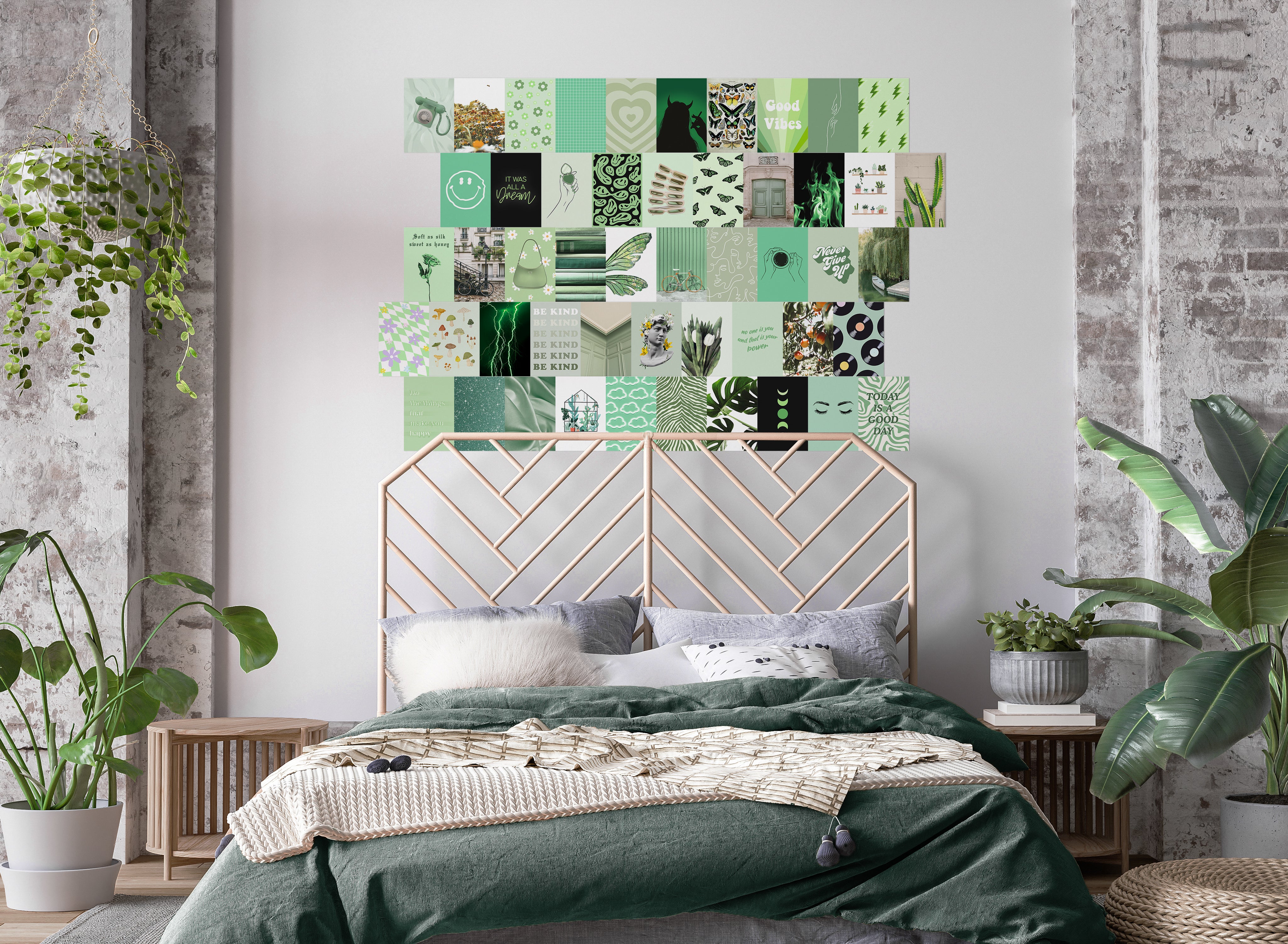 Sage Green Collection – Haus and Hues