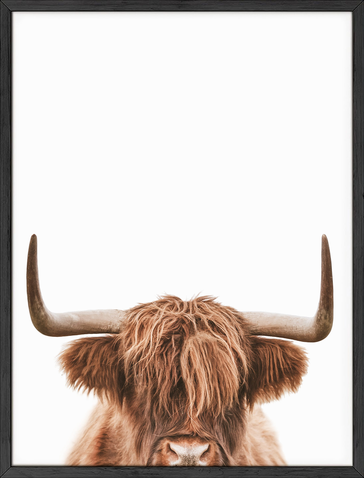 Farmstyle highland cow