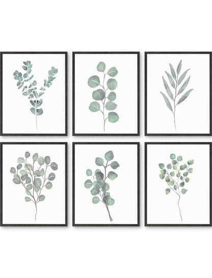Botanical Illustration Set