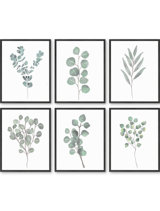 Botanical Illustration Set