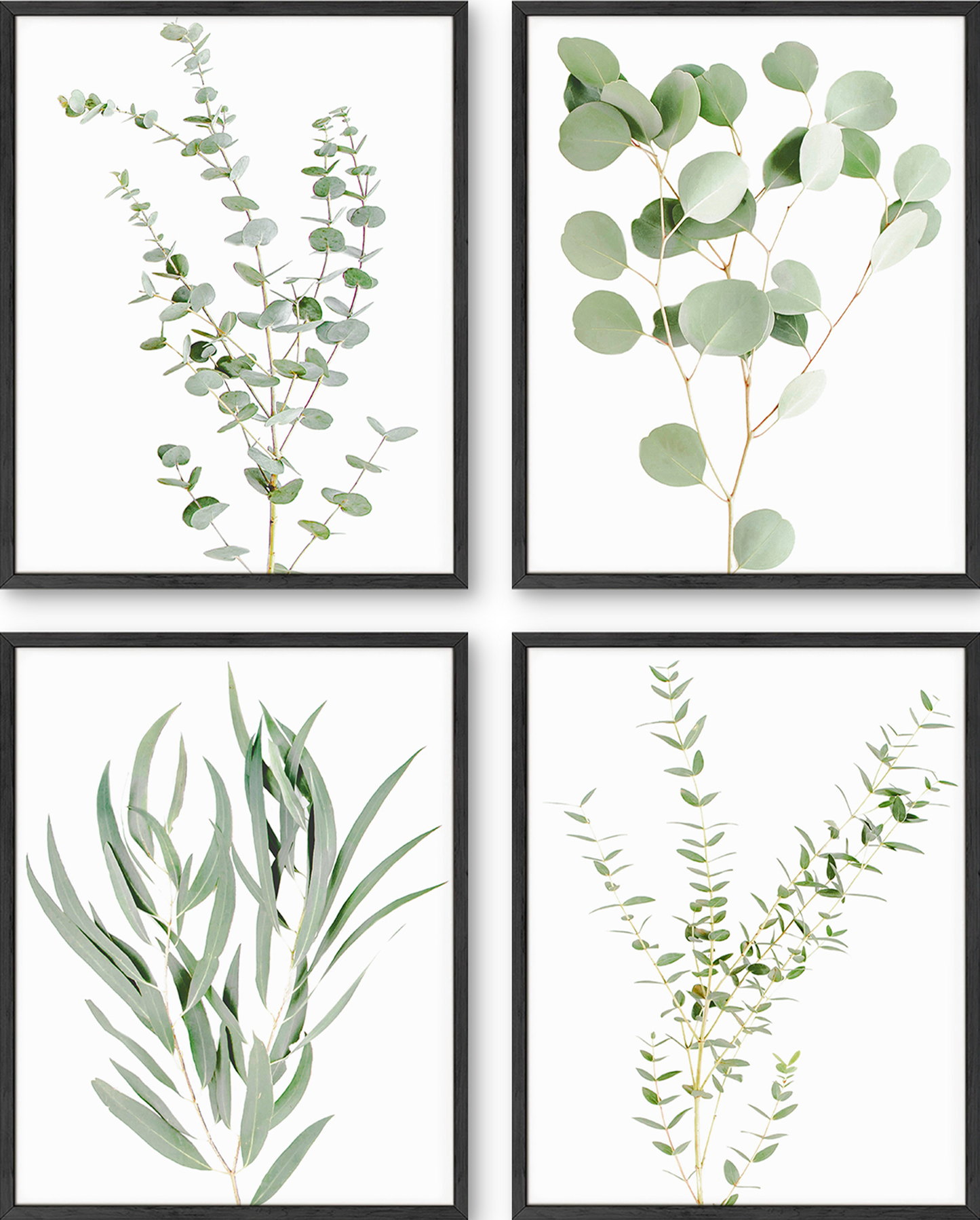 Green Plant Set