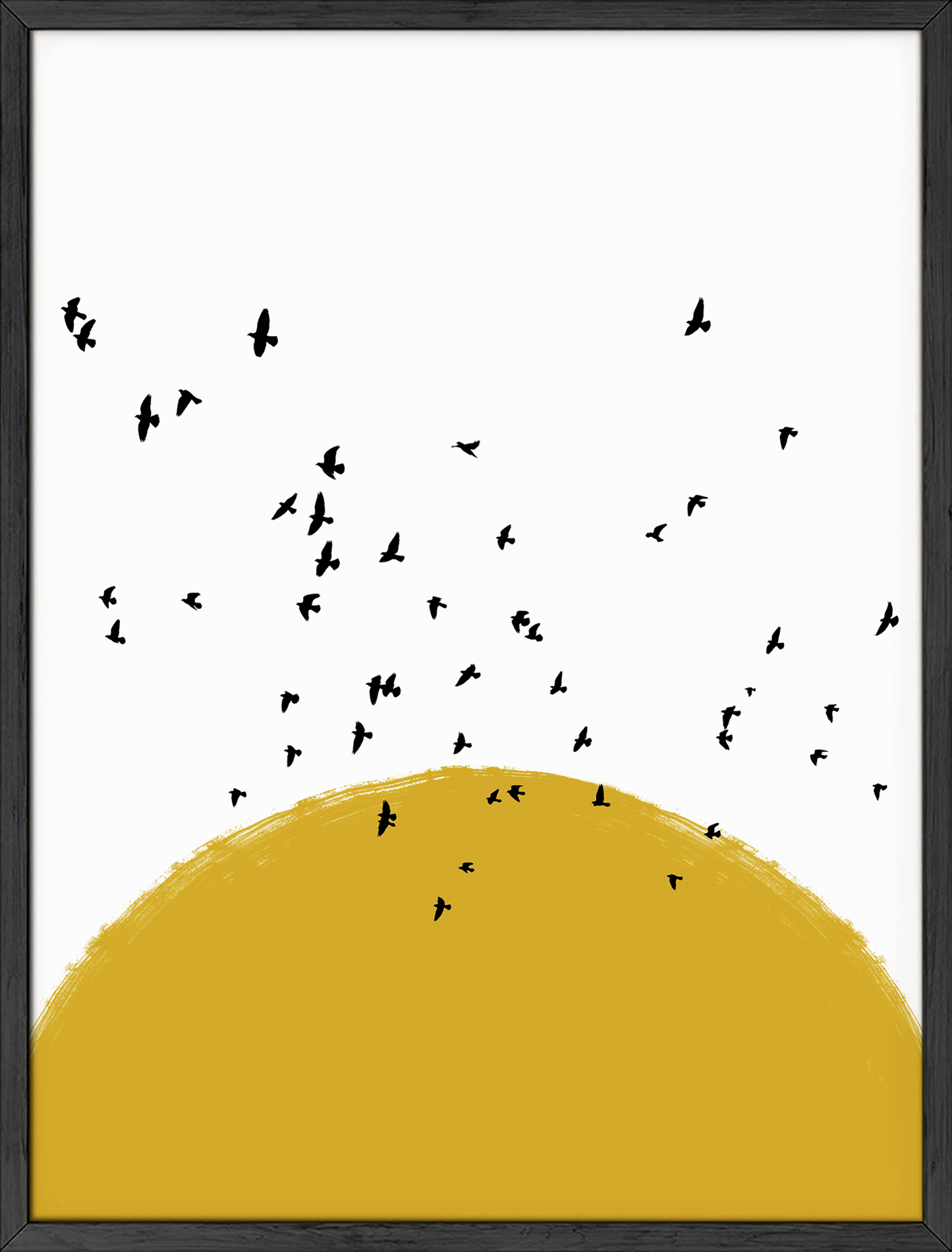 Sun and Birds
