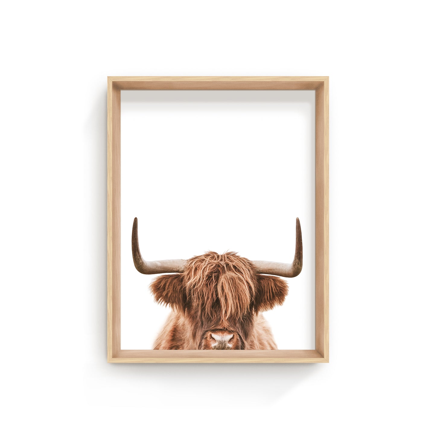 Farmstyle highland cow