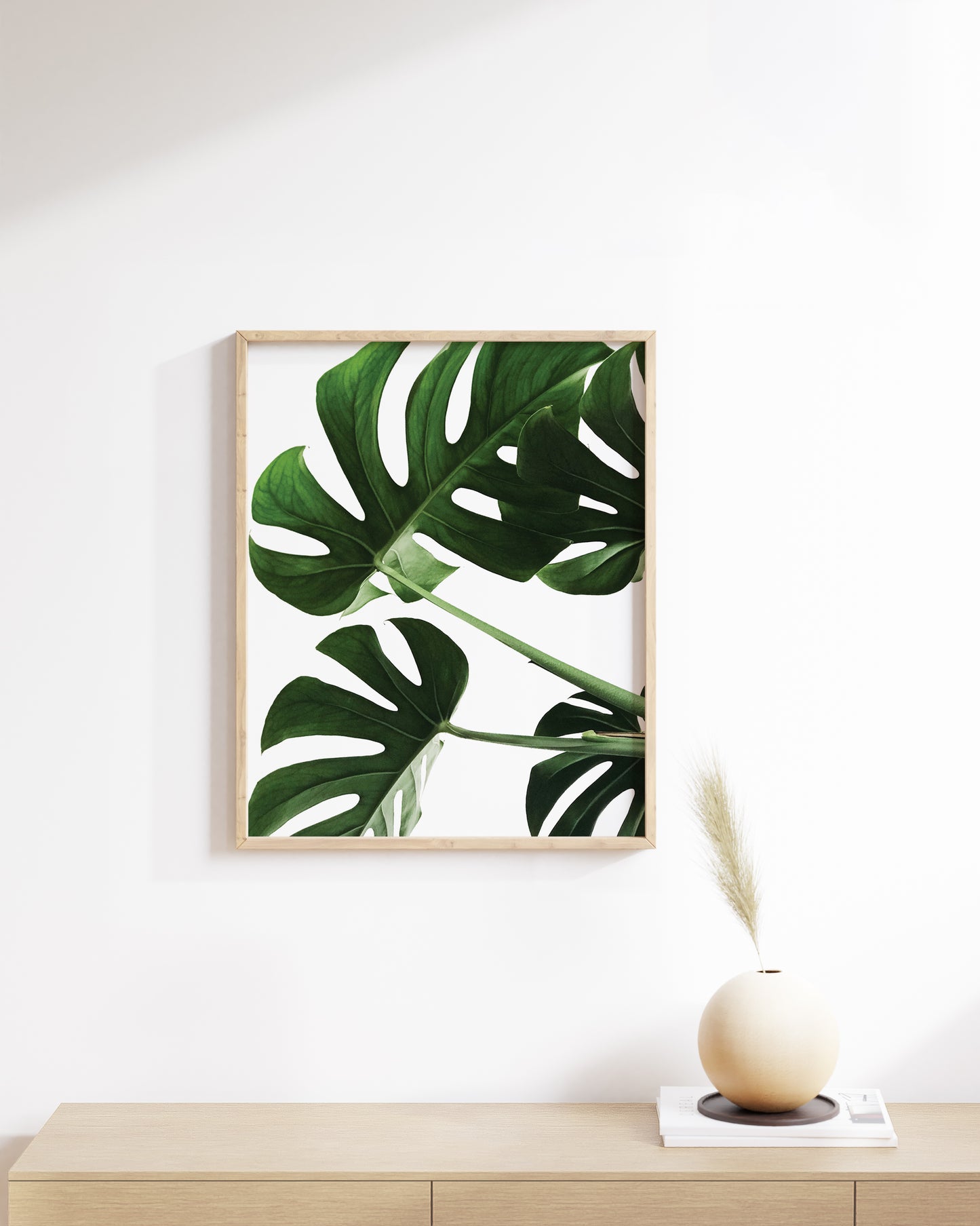 Monstera leaf