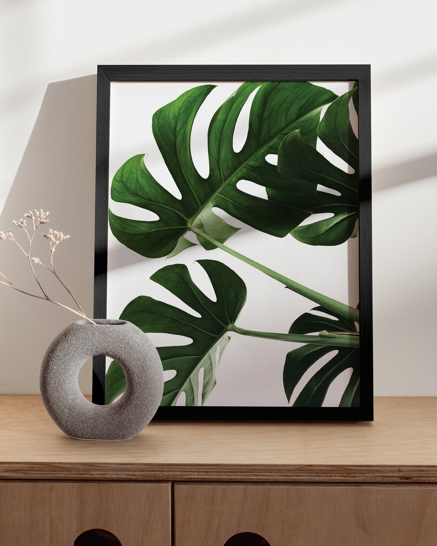 Monstera leaf