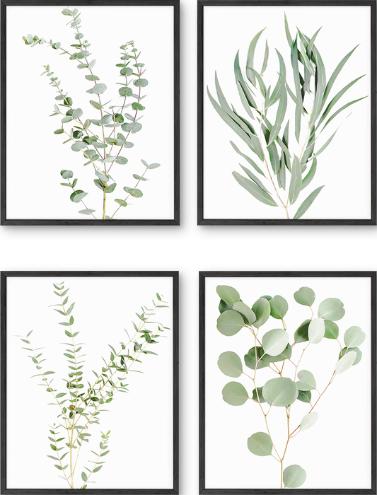 Green Plant Set